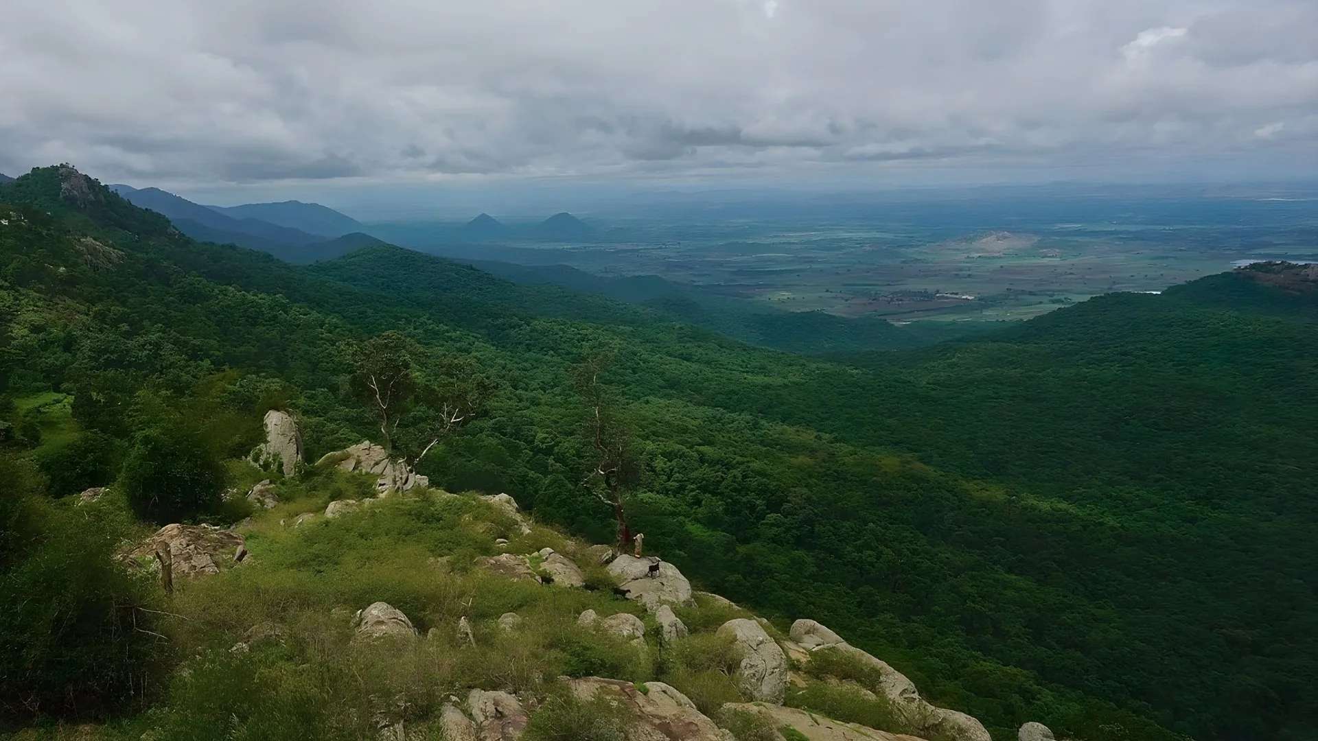 BR Hills